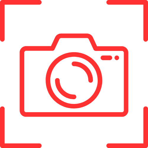 Stripcam Porn